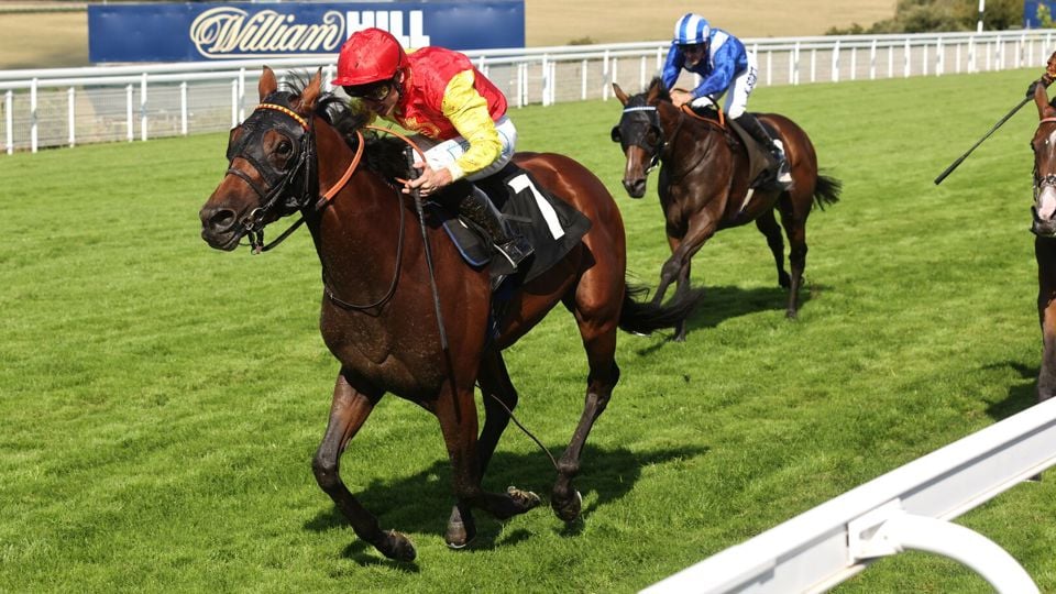 Goodwood Raceday - Saturday 24th August 2024. Pictured is the 3:50.WILLIAM HILL PROPER BETTING HANDICAP (Class 2)...Photograph by Sam Stephenson, 07880 703135, www.samstephenson.co.uk.