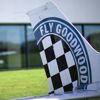 Aeroclub at Goodwood 2015 by Nicole Hains