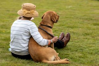 The Dog Show- The Kennels, Goodwood