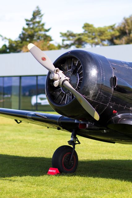 Aeroclub at Goodwood 2015 by Nicole Hains