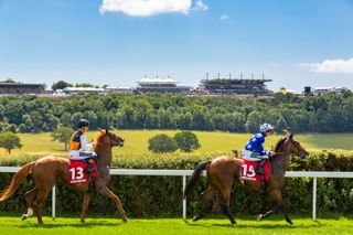 Horses at the start of the Matchbook Betting Exchange Handicap Stakes..Picture date: Tuesday July 31, 2018..Photograph by Christopher Ison ©.07544044177.chris@christopherison.com.www.christopherison.com