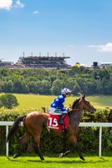 Horses at the start of the Matchbook Betting Exchange Handicap Stakes..Picture date: Tuesday July 31, 2018..Photograph by Christopher Ison ©.07544044177.chris@christopherison.com.www.christopherison.com