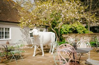 Website-FBC-Cow-Patio_BradleyBasten_2024_003.jpg