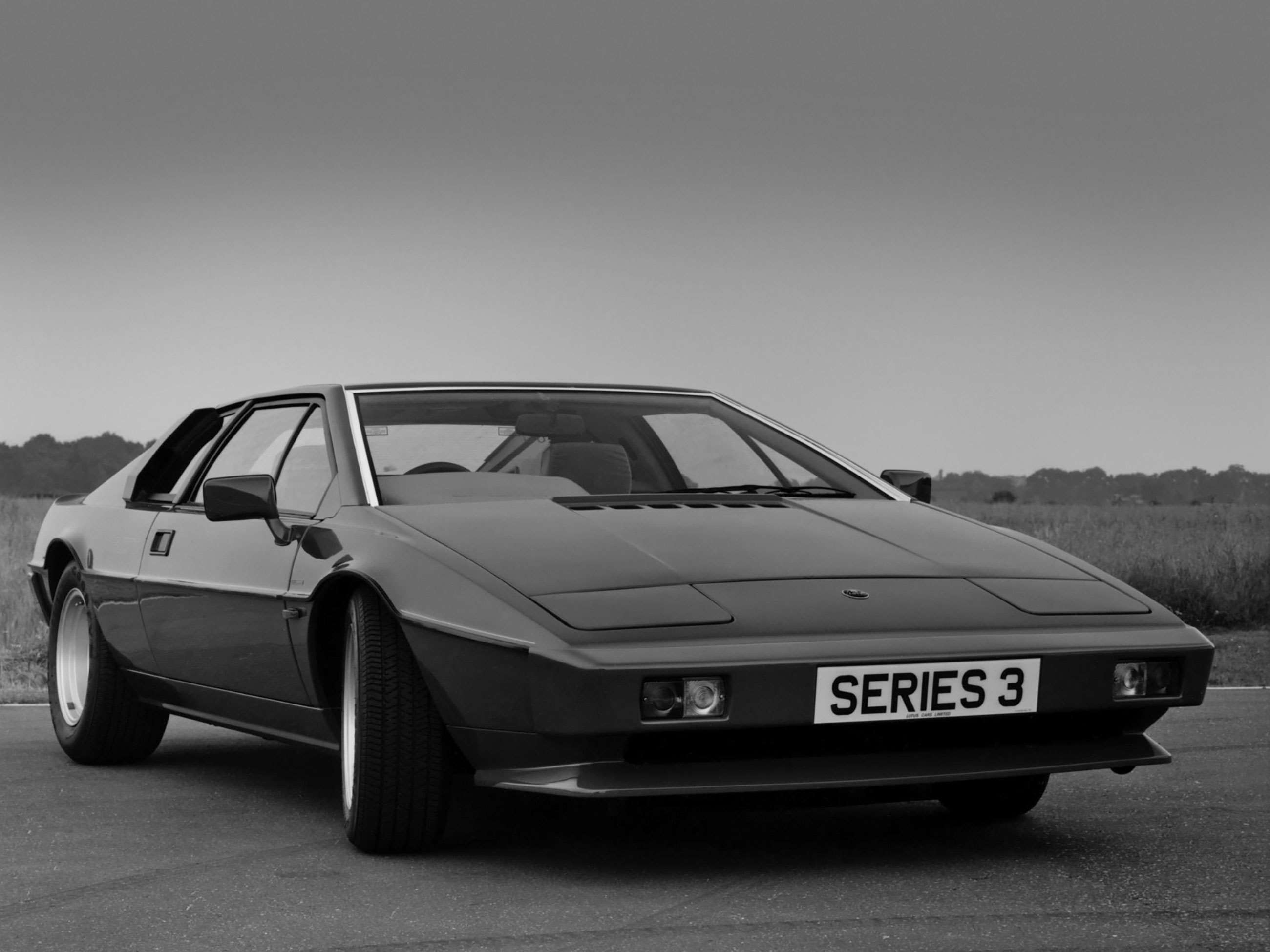 Alon lotus esprit