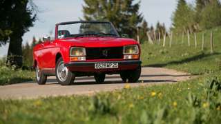 peugeot_304_cabriolet_goodwood_05062017_7642.jpg