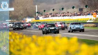 graham_hill_trophy_75mm_goodwood_04042017.jpg