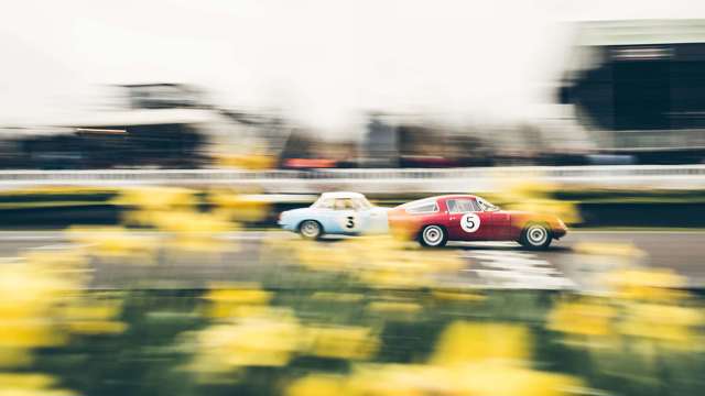 tom_shaxson_snappers_selection_goodwood_76mm_28031813.jpg