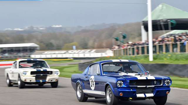 ford-mustang-ken-miles-cup-81mm-03.jpg