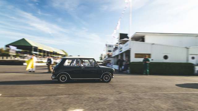 revival-2019-cooper-celebration-joe-harding-goodwood-15091954.jpg