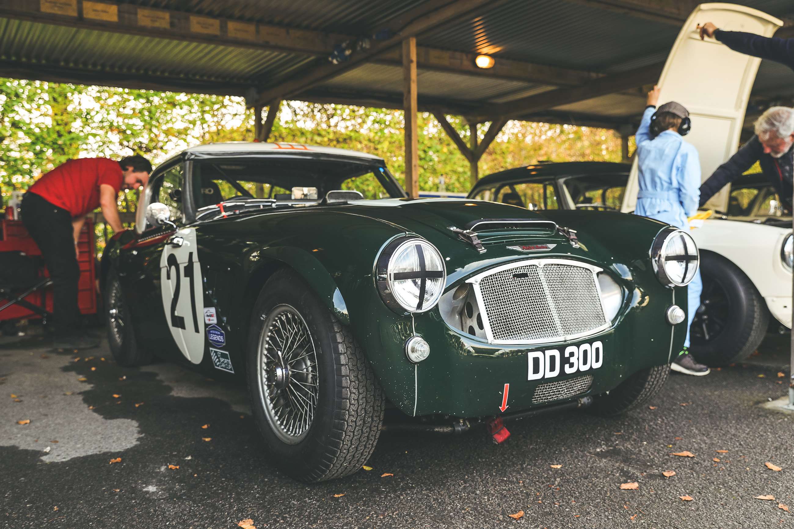 austin-healey-dd-300-joe-harding-16032207.jpg