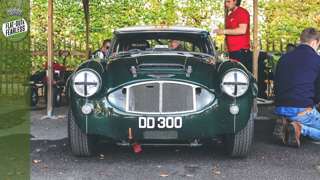 austin-healey-dd-300-joe-harding-main-16032201.jpg