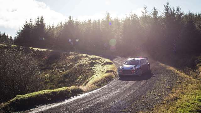 wales_rally_gb_02111706.jpg