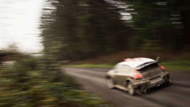 wales_rally_gb_02111767.jpg