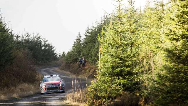 wales_rally_gb_02111794.jpg