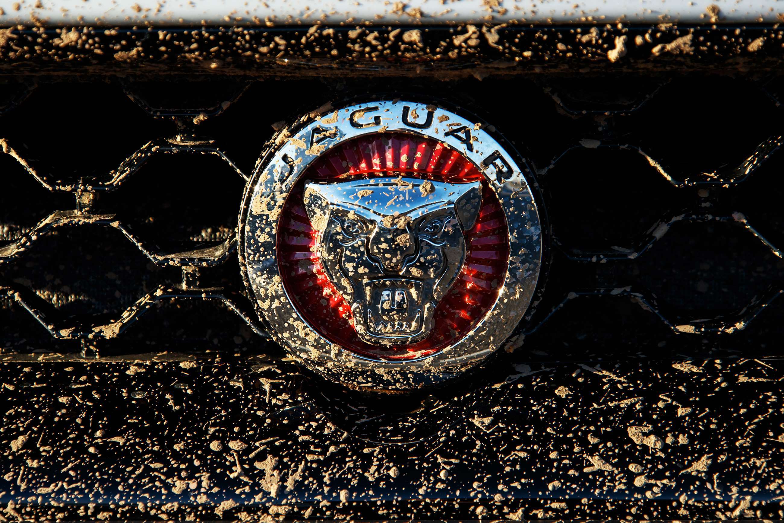 jaguar-f-type-rally-car-badge-goodwood-20022019.jpg