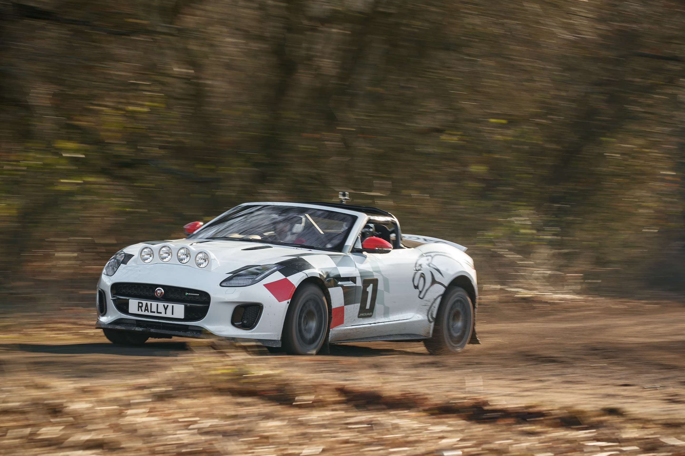 jaguar-f-type-rally-car-goodwood-20022019.jpg