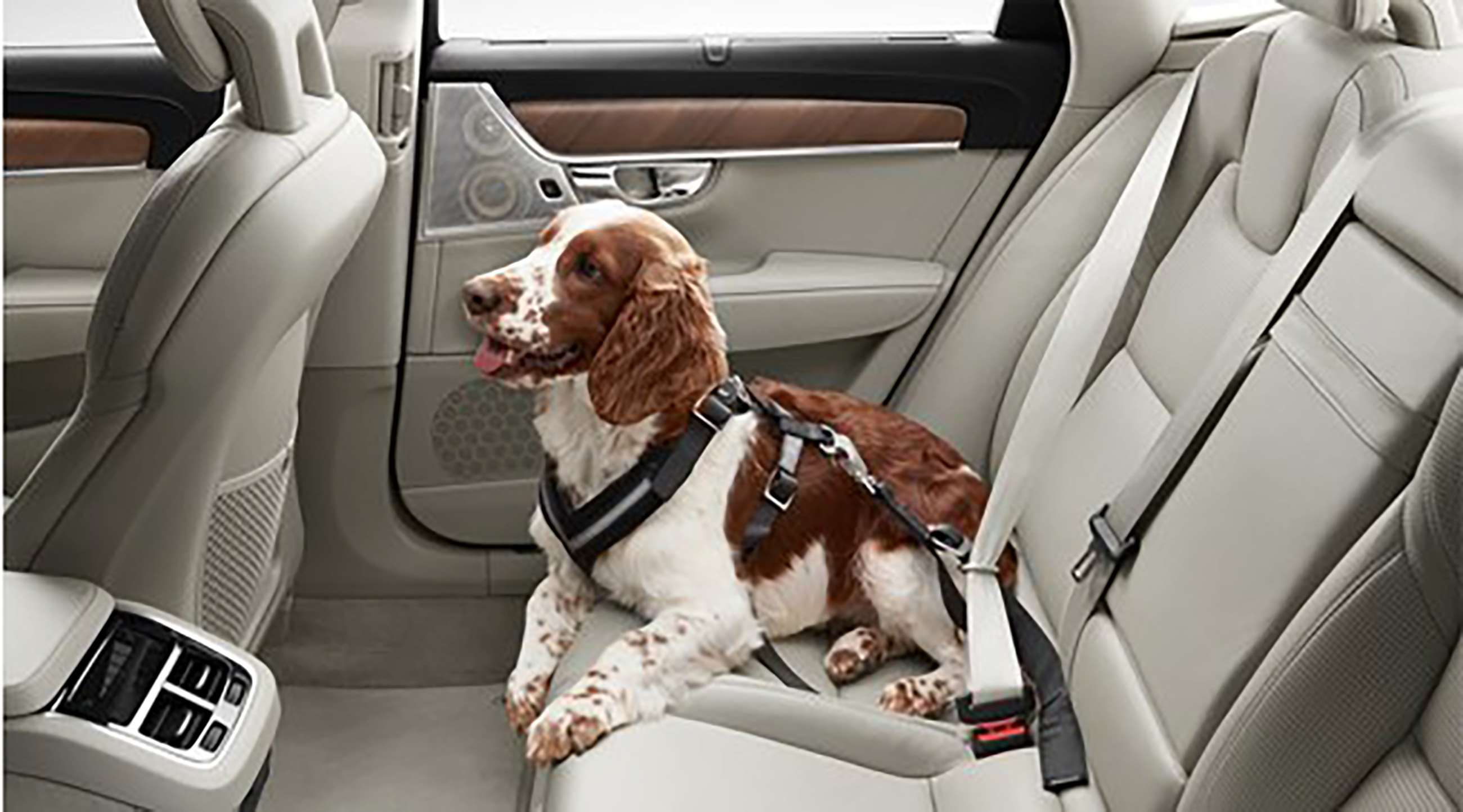 Best dog outlet car harness 2018