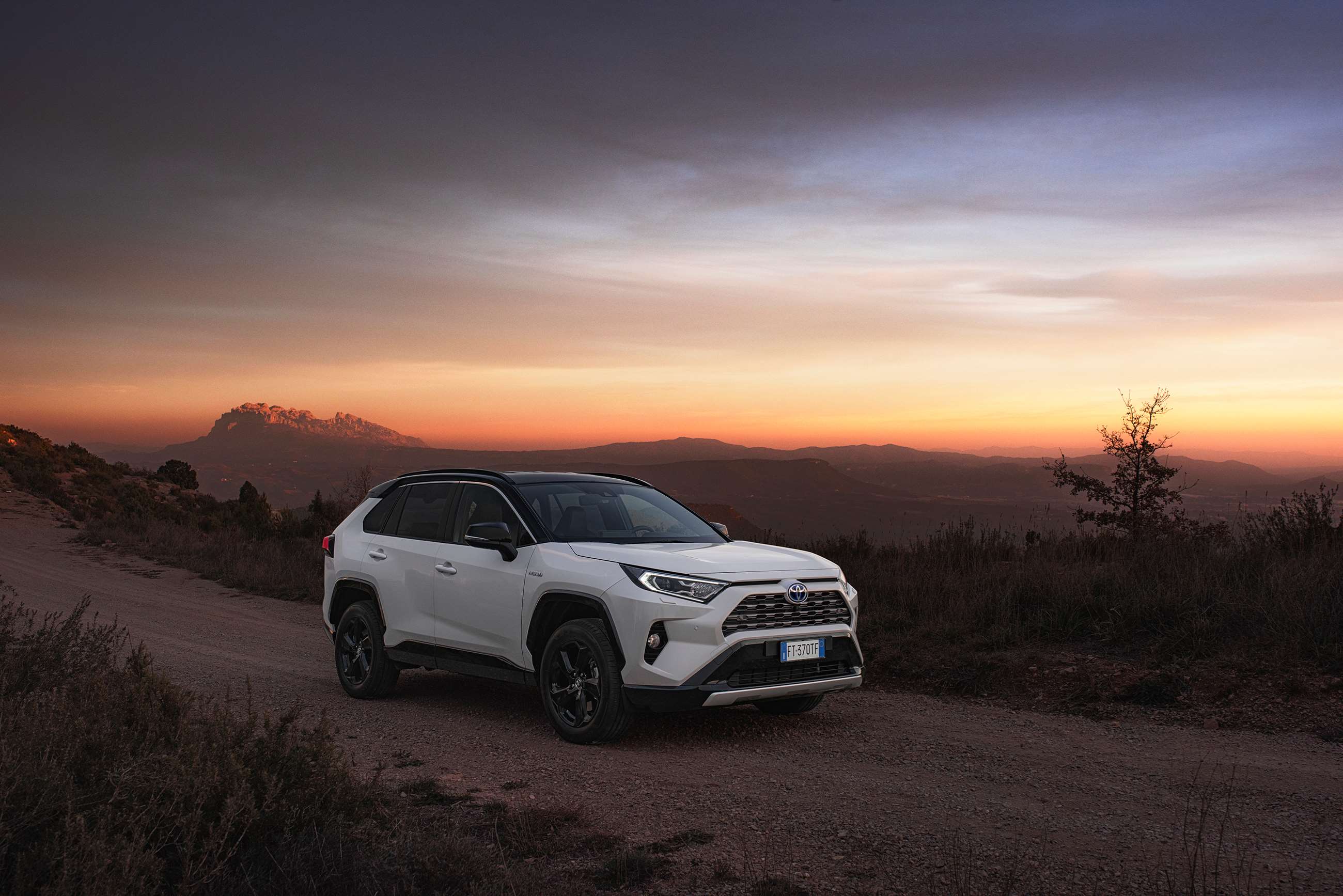 Review 2019 Toyota RAV4