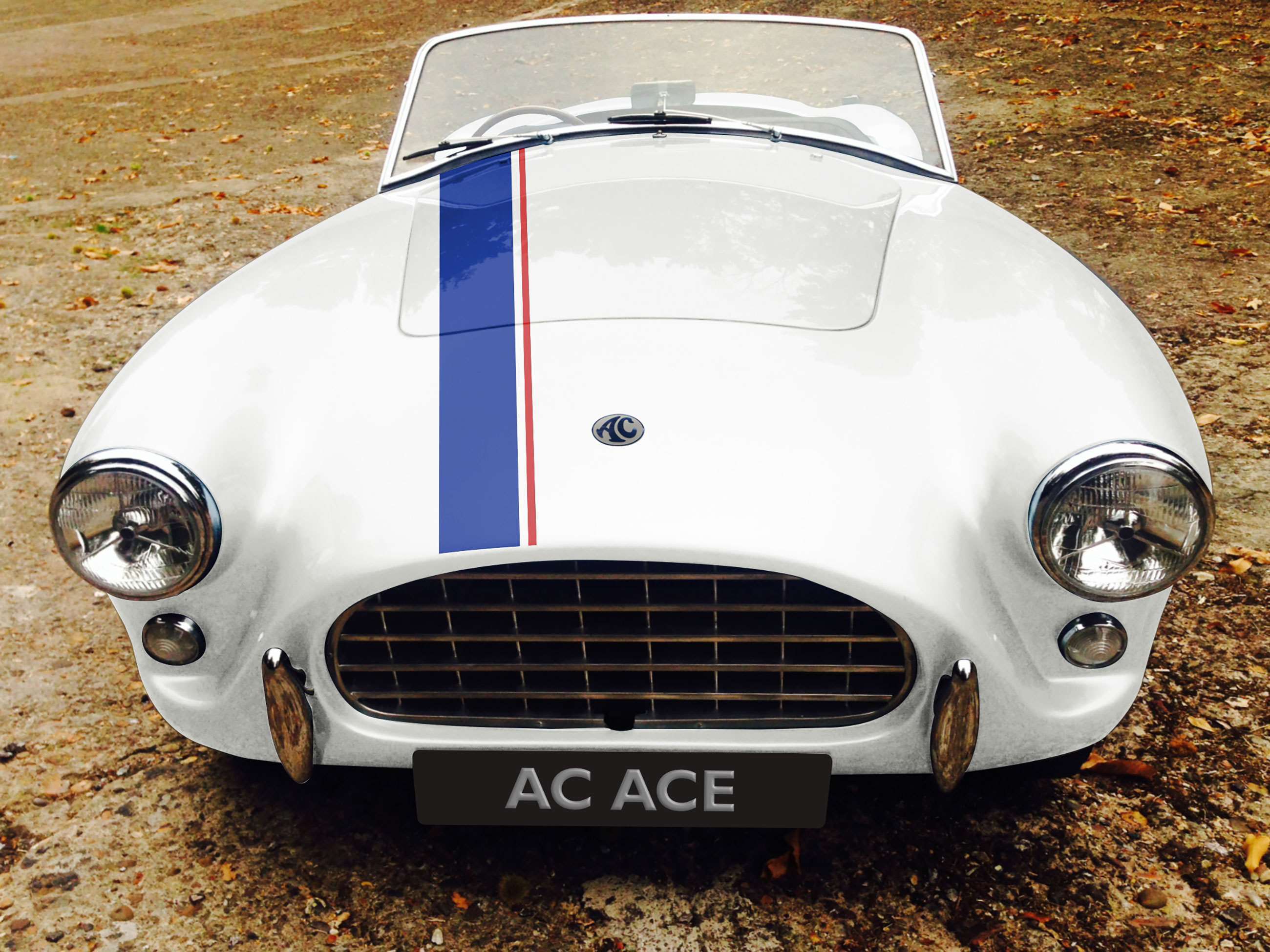 ac-ace-four-cylinder-goodwood-14102021.jpg
