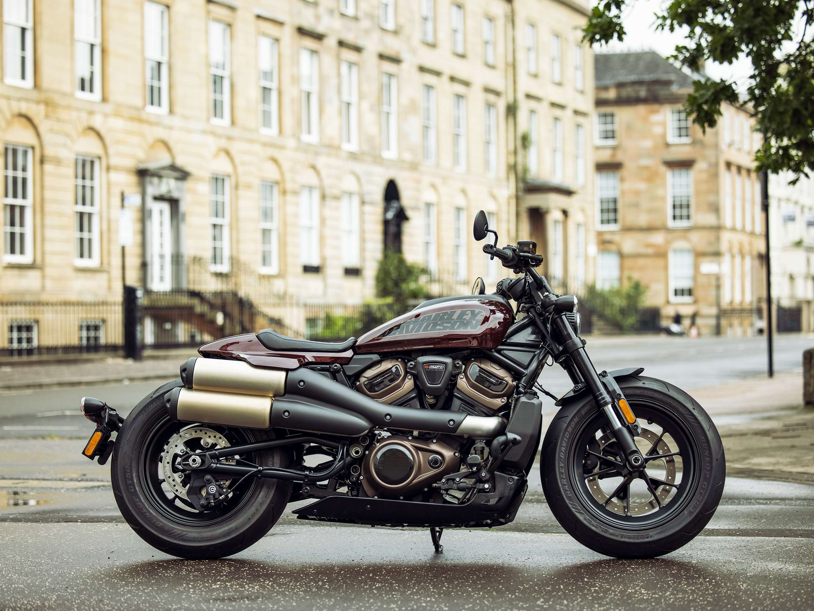 Harley davidson shop sportster s