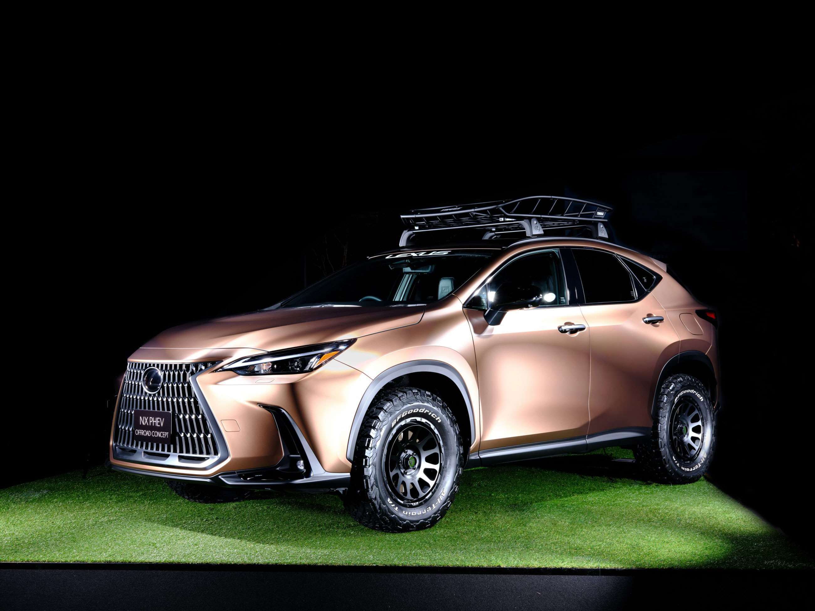 lexus-nx-phev-offroad-14012022.jpg