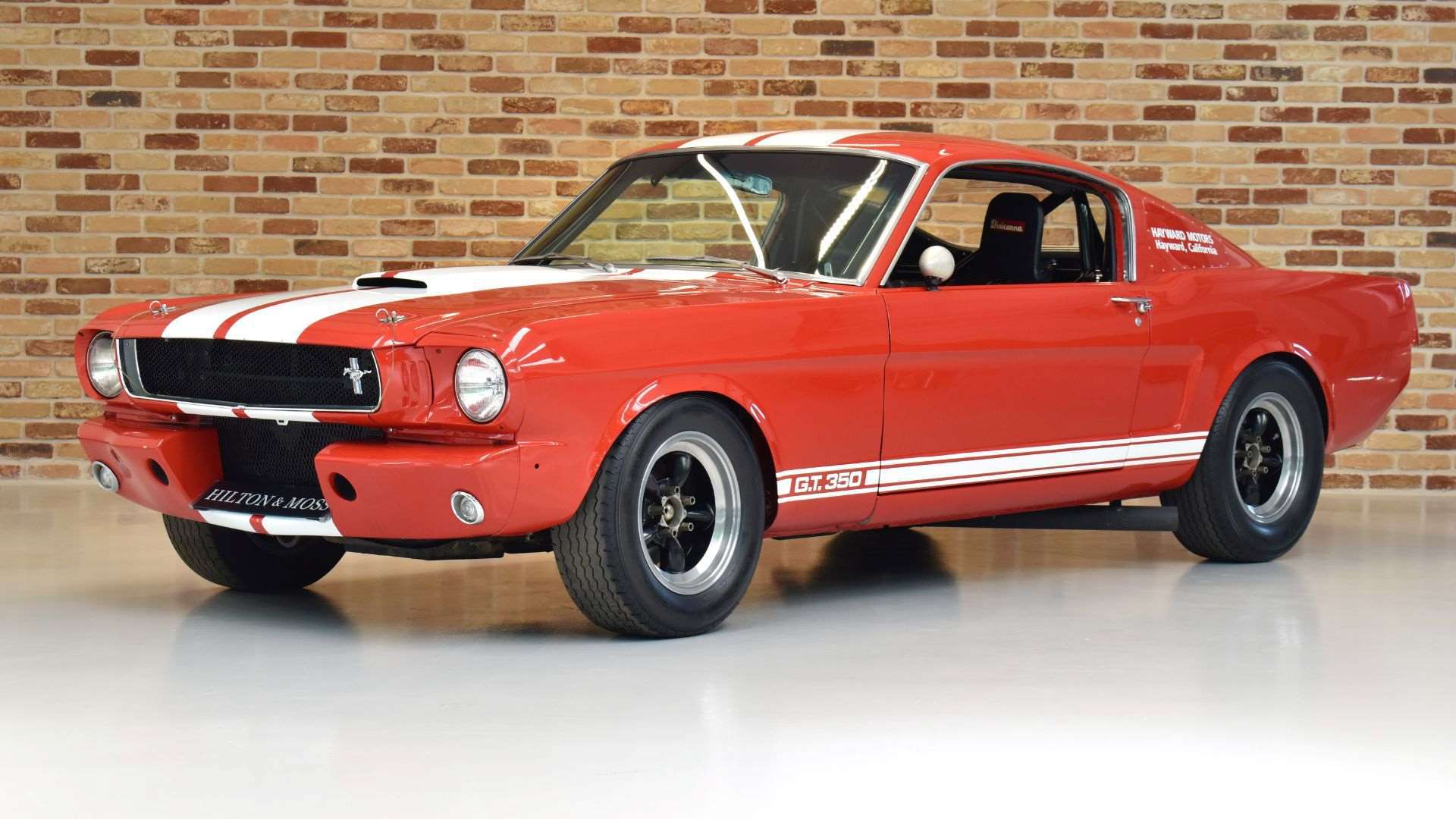 shelbygt35013.jpg