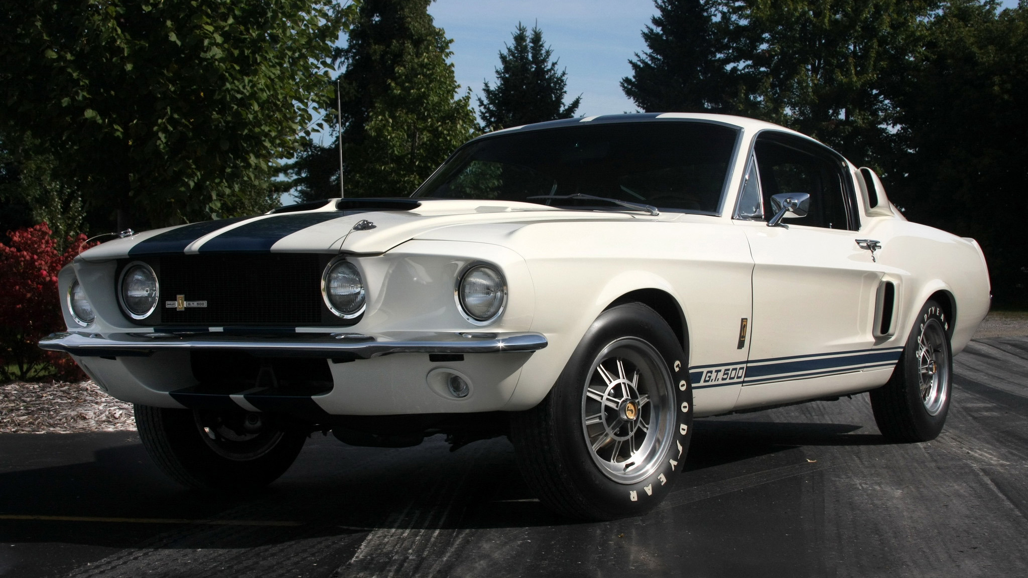 Shelby_GT500_1967_wallpapers_1 copy.jpg