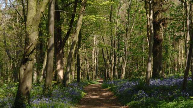 nature-trail.jpg