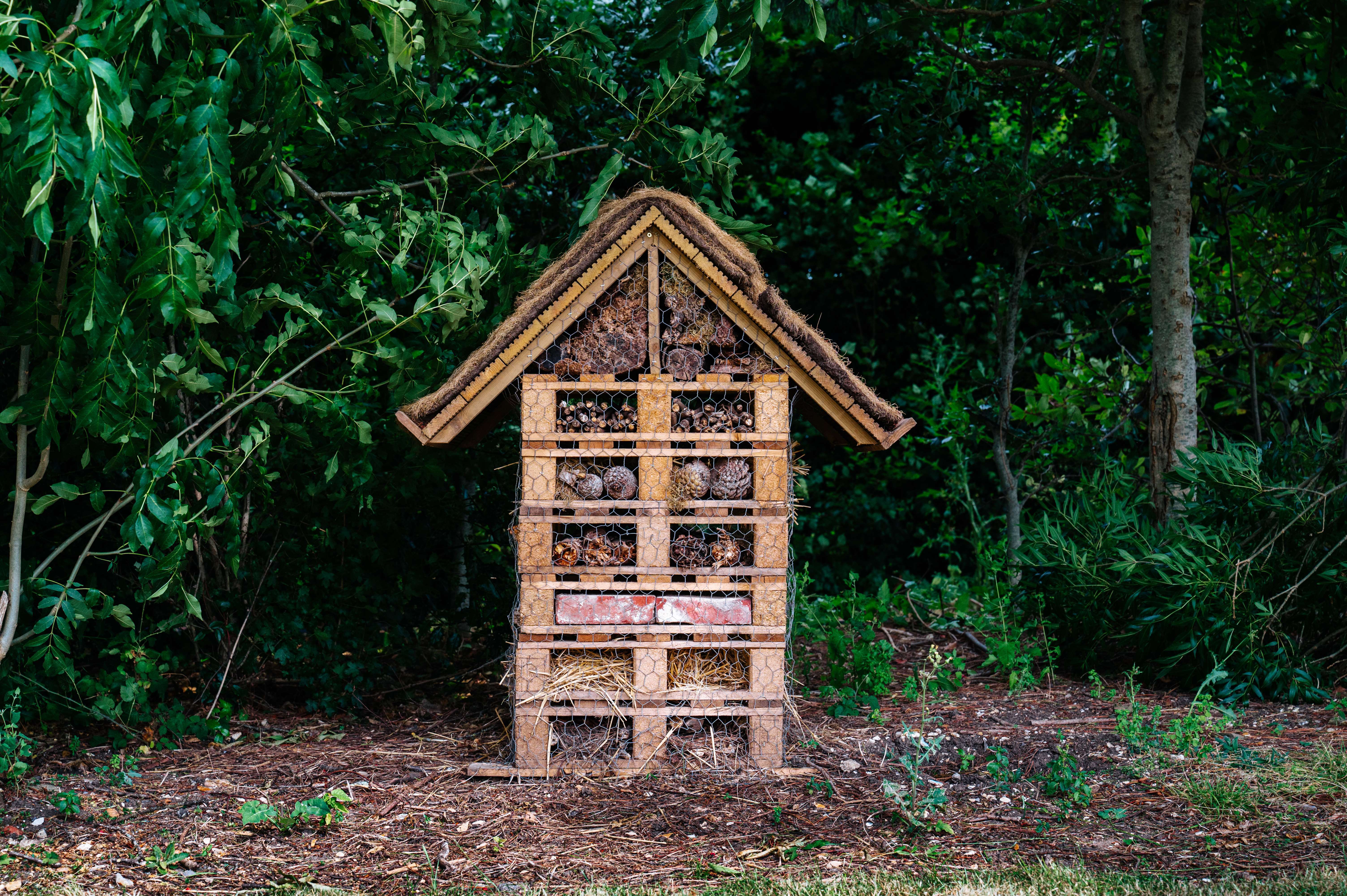 goodwoodbughotel_jaysonfong_001.jpg