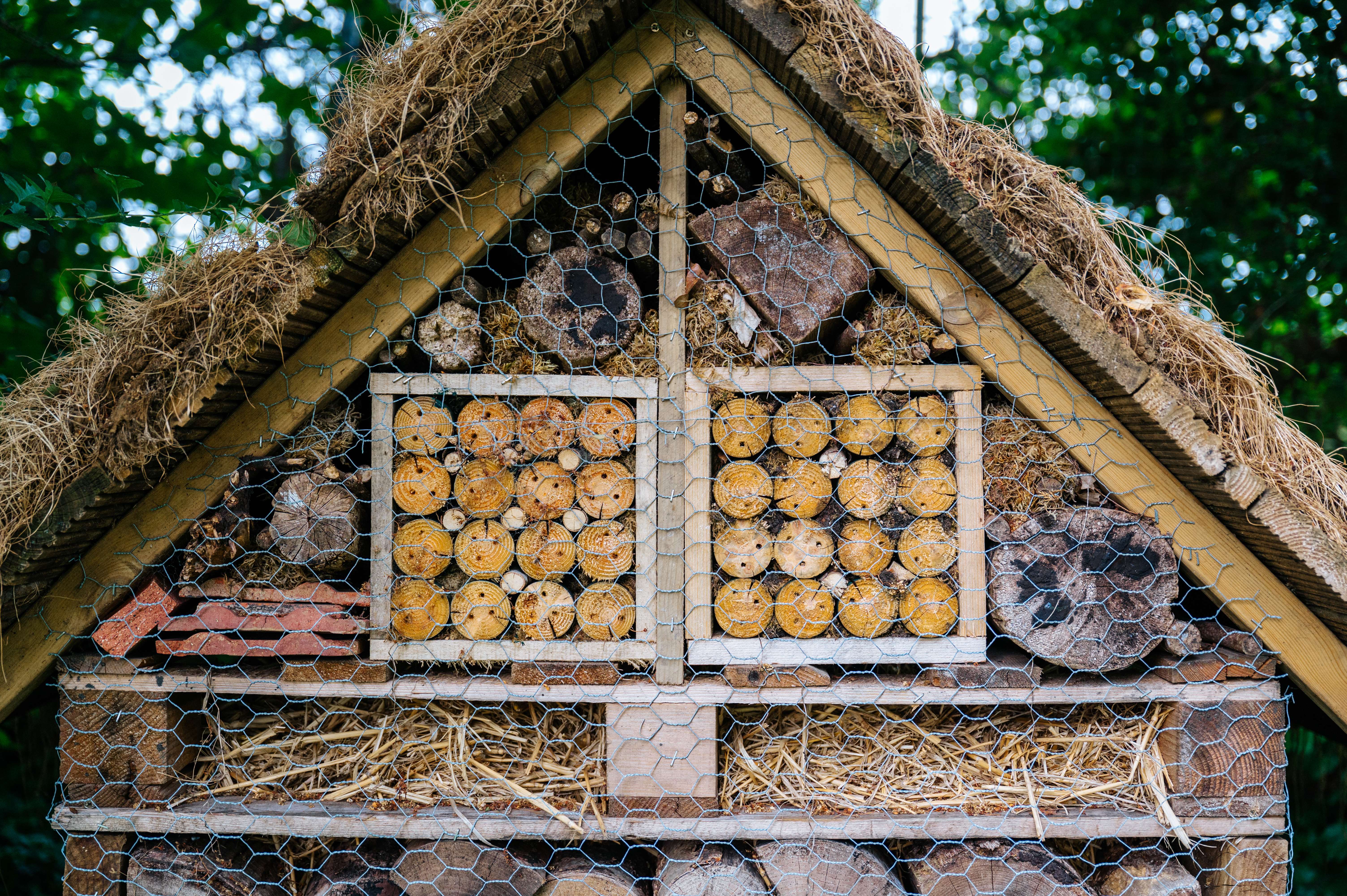 goodwoodbughotel_jaysonfong_019.jpg