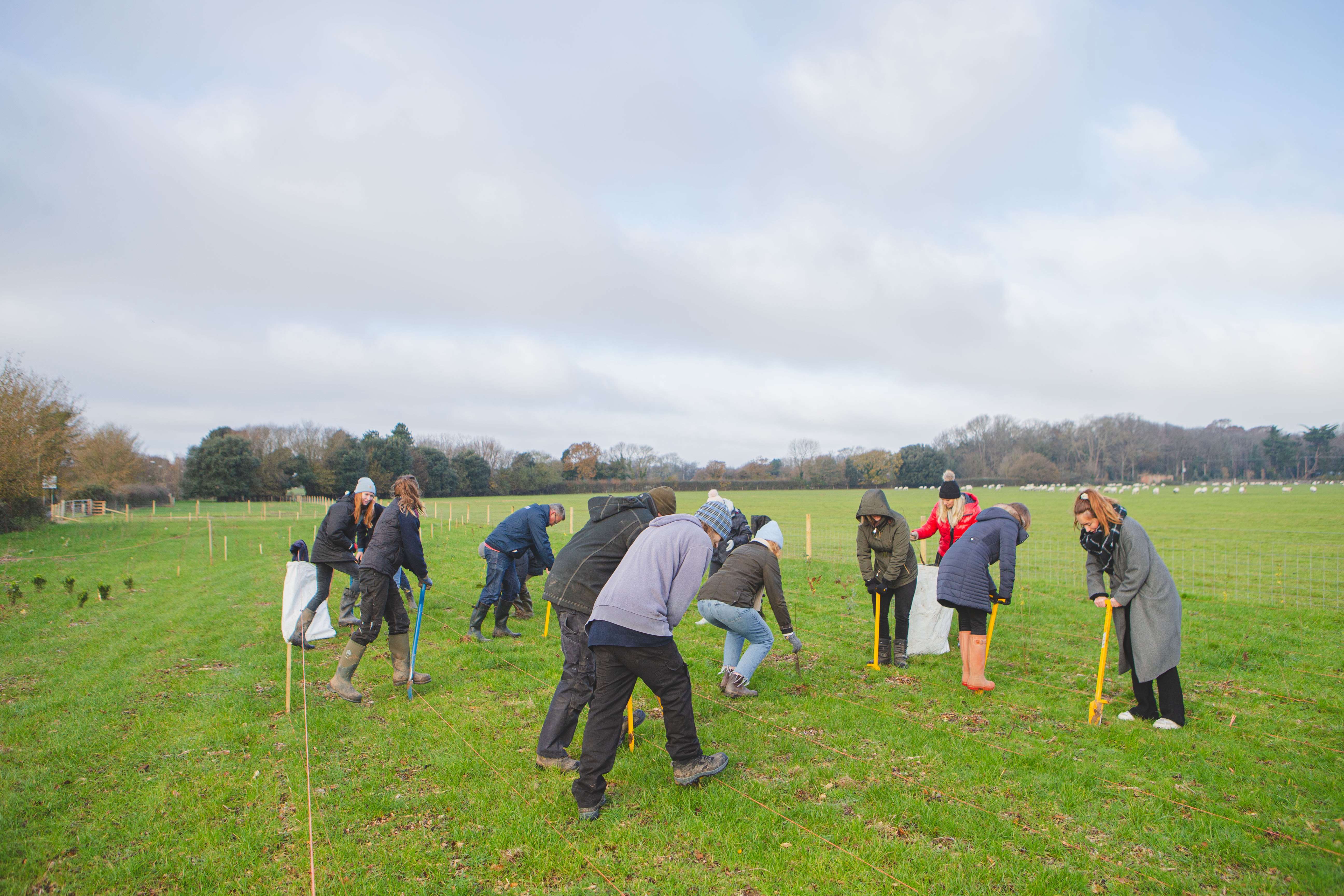 treeplanting_johnathanswann_2023__0172.jpg