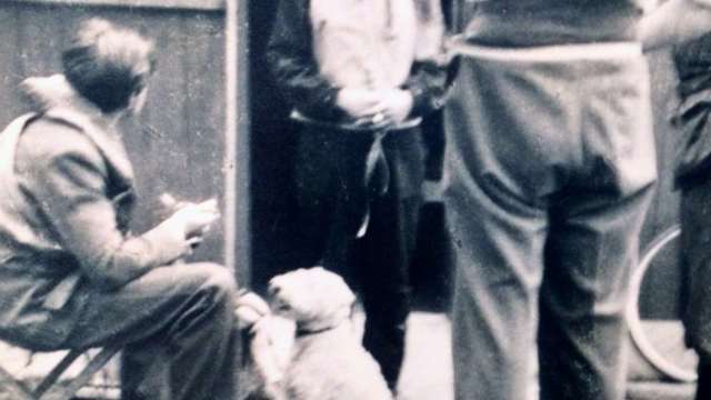 Bill the dog of 145 Squadron taken in July 1940 outside a dispersal hut