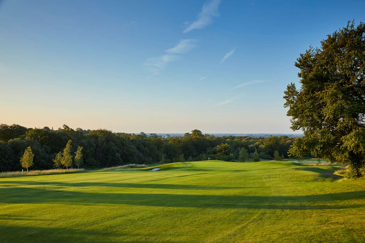 Invitational | Latest News | Golf At Goodwood