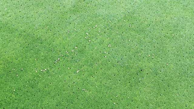 Greens after a 8mm hollow core