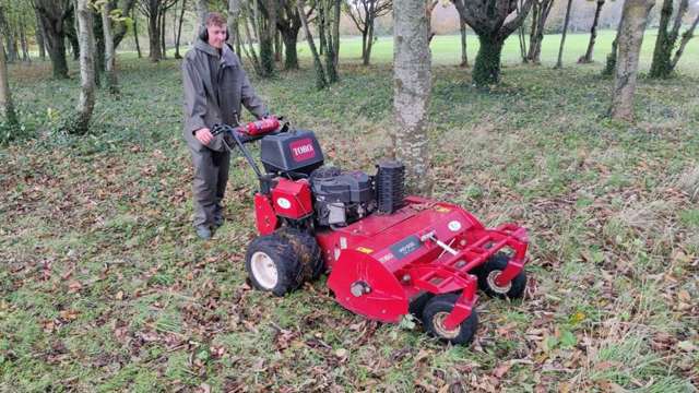 Sefton clearing all the woodland floors with the flail.