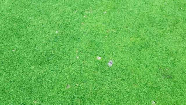 Please repair your pitch marks, as they also scar the greens and reduce playability