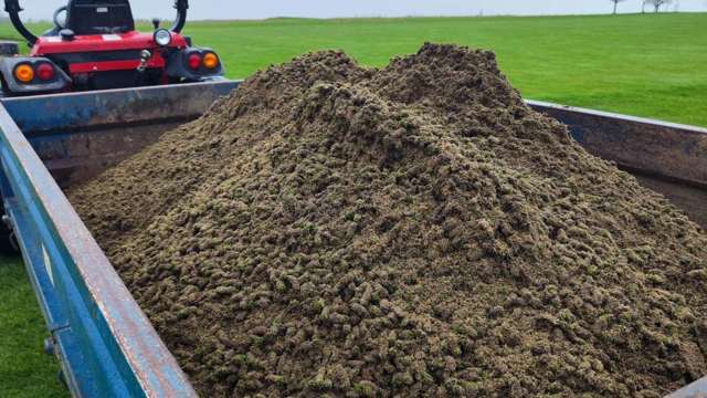 Thatch Removal from one green. 