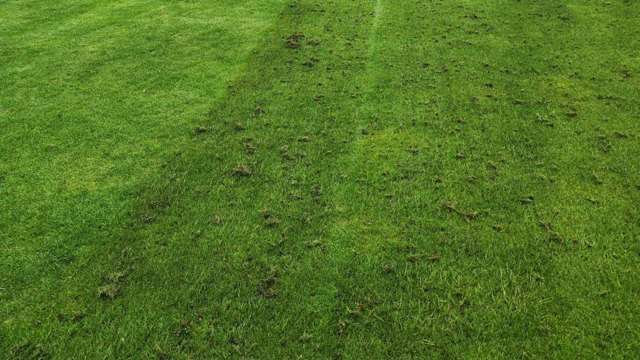 Some fairways received a rake and brush during course maintenance. 