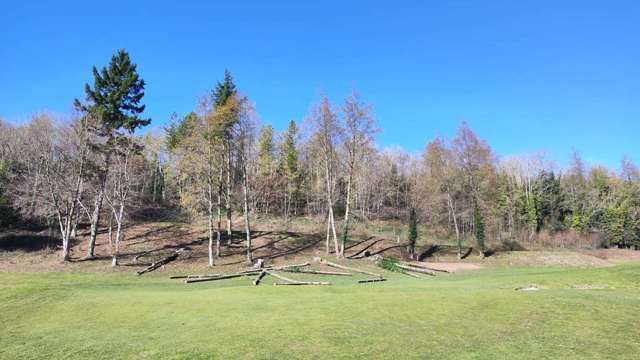 Tree removal on the 5th tee