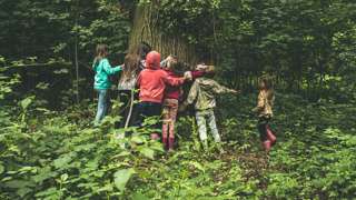Forest Adventures at the Goodwood Education Trust