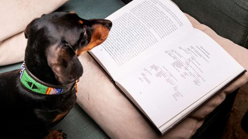 Canine Literary Corner, coming to Goodwoof! | Goodwood