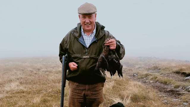 gundog-david-latham.jpeg