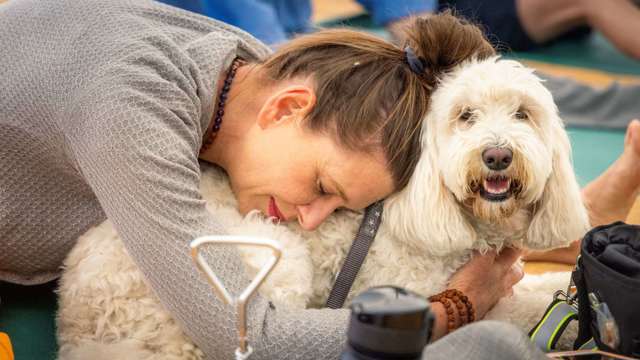 dog-yoga-goodwoof-sunday.jpg