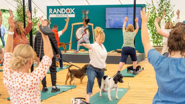 dog-yoga-goodwoof-the-studio-randox.jpg
