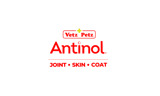 Antinol Logo.png