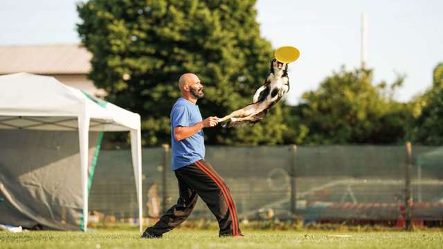 disc-dog-frisbee.jpg