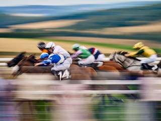 horses-racing-at-qgf-nicholson-gin-stakes.jpg