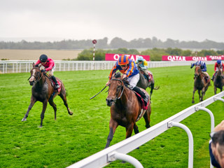 Facteur Cheval finishing second to Paddington in 2023.jpg