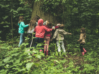 family-forest-school.png