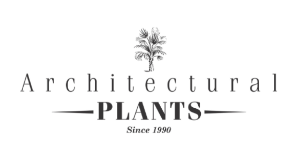 Architectural Plants.png